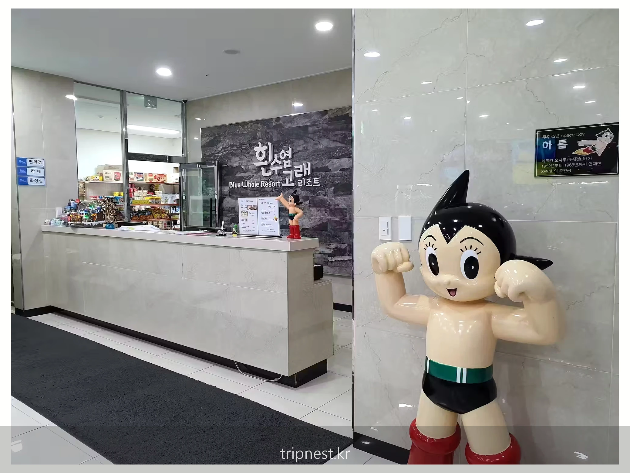 제주 흰수염고래 리조트 객실 내부 전경과 침대 구성 6